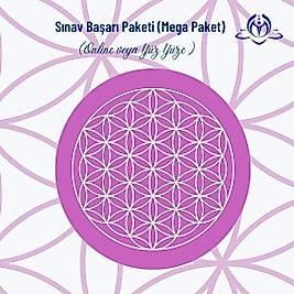 SINAV BAŞARI PAKETİ (MEGA PAKET)