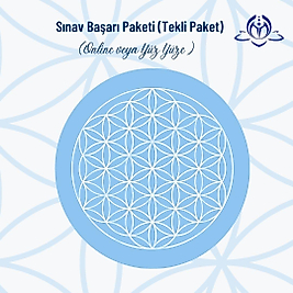 SINAV BAŞARI PAKETİ (TEKLİ PAKET)
