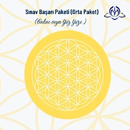 SINAV BAŞARI PAKETİ (ORTA PAKET)