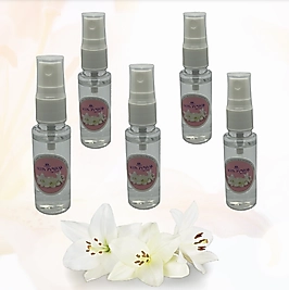 Zambak Kolonyası Döküm Sprey (25cc) 5'Lİ Paket