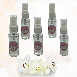 Zambak Kolonyası Döküm Sprey (25cc) 5'Lİ Paket
