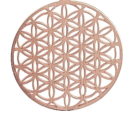 Yaşam çiçeği link