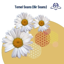 TEMEL SEANS