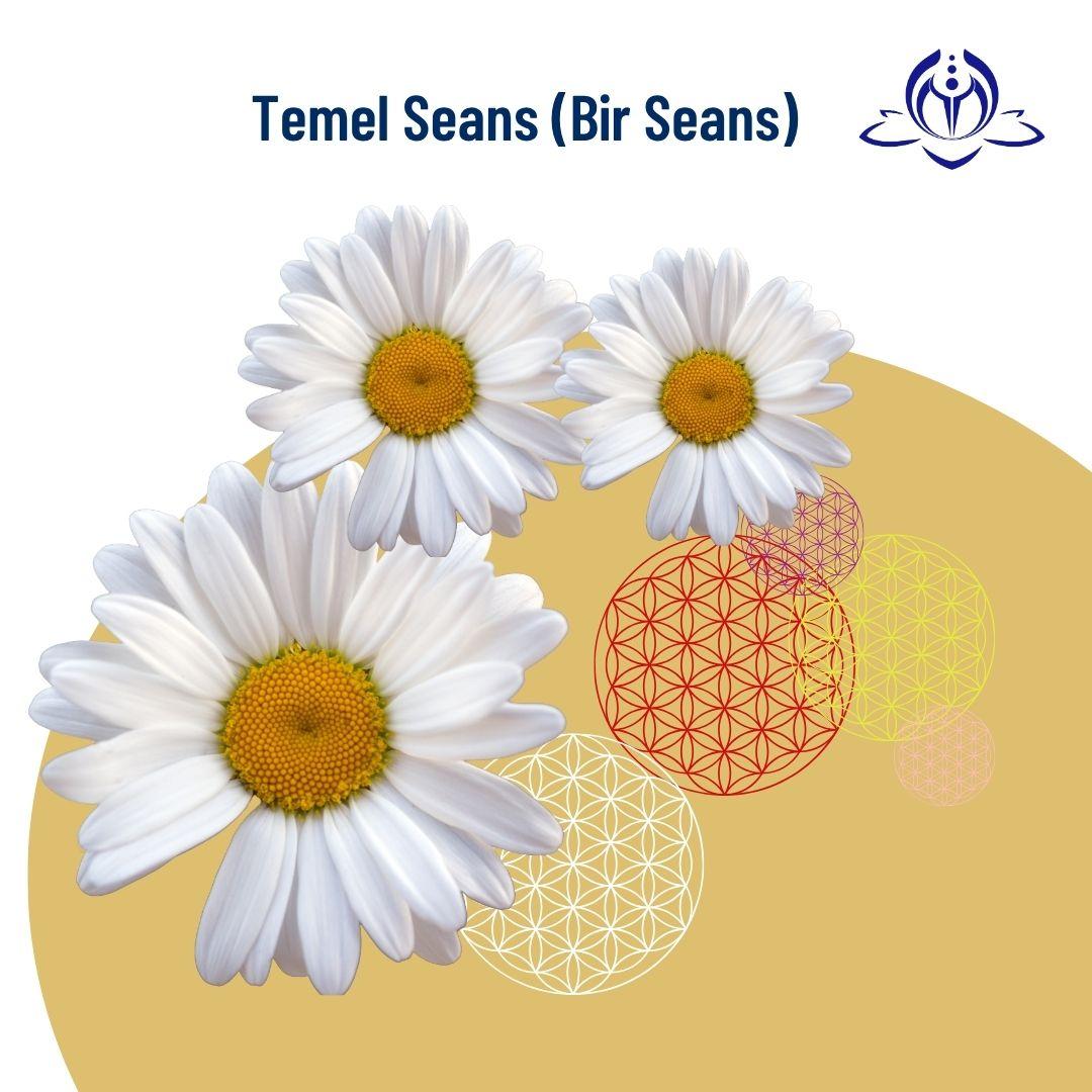 TEMEL SEANS
