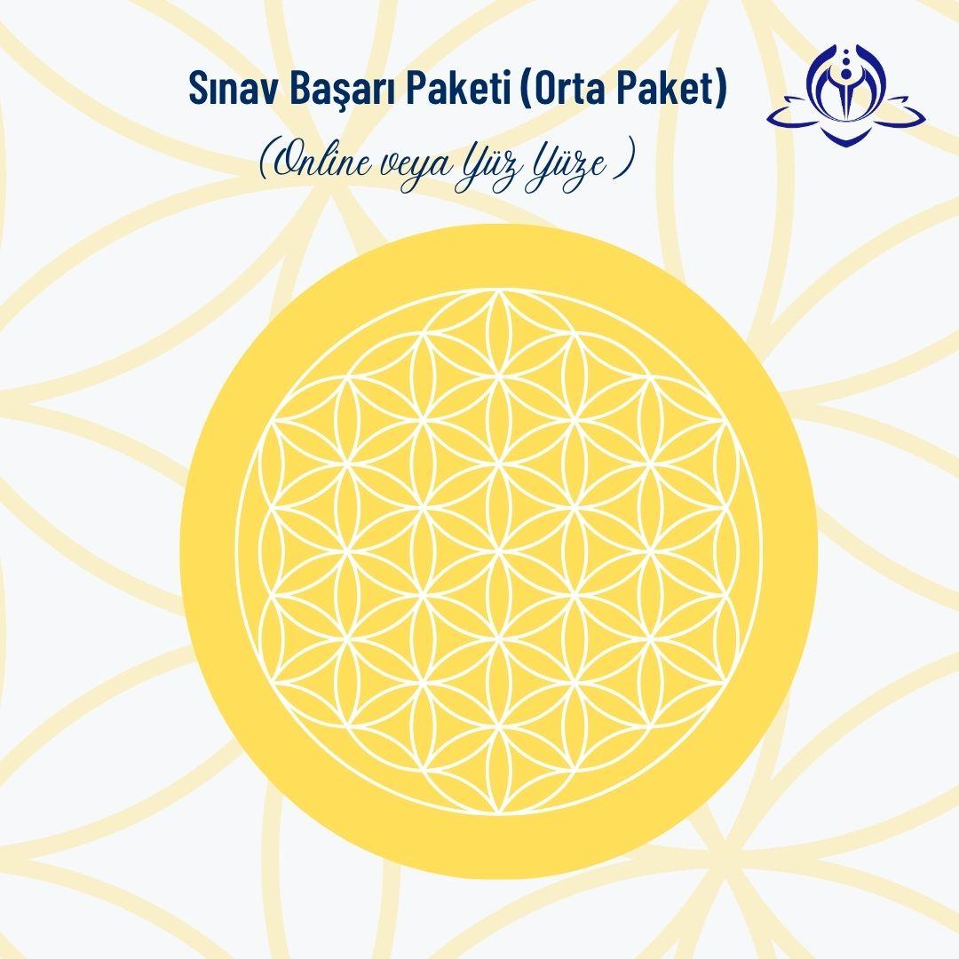 SINAV BAŞARI PAKETİ (ORTA PAKET)
