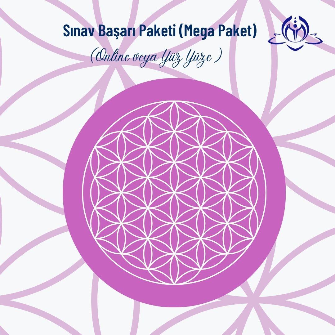SINAV BAŞARI PAKETİ (MEGA PAKET)