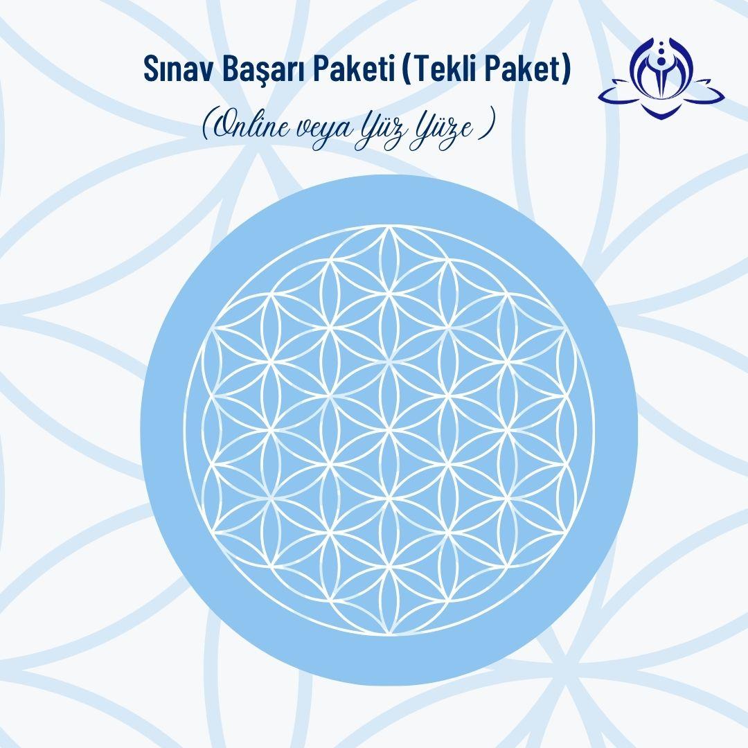 SINAV BAŞARI PAKETİ (TEKLİ PAKET)